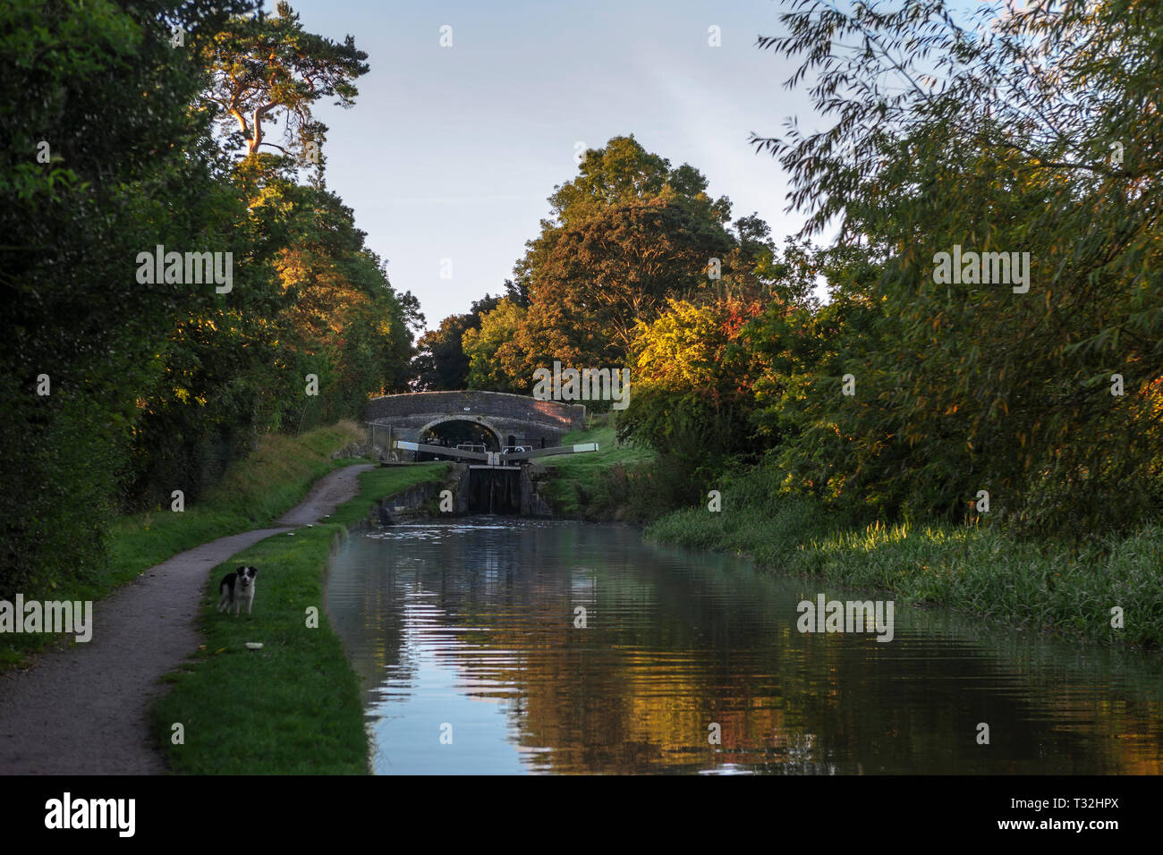 Cercando il famoso blocco Audlem volo sul Shropshire Union Canal a serratura 7, Audlem, Cheshire, Inghilterra Foto Stock