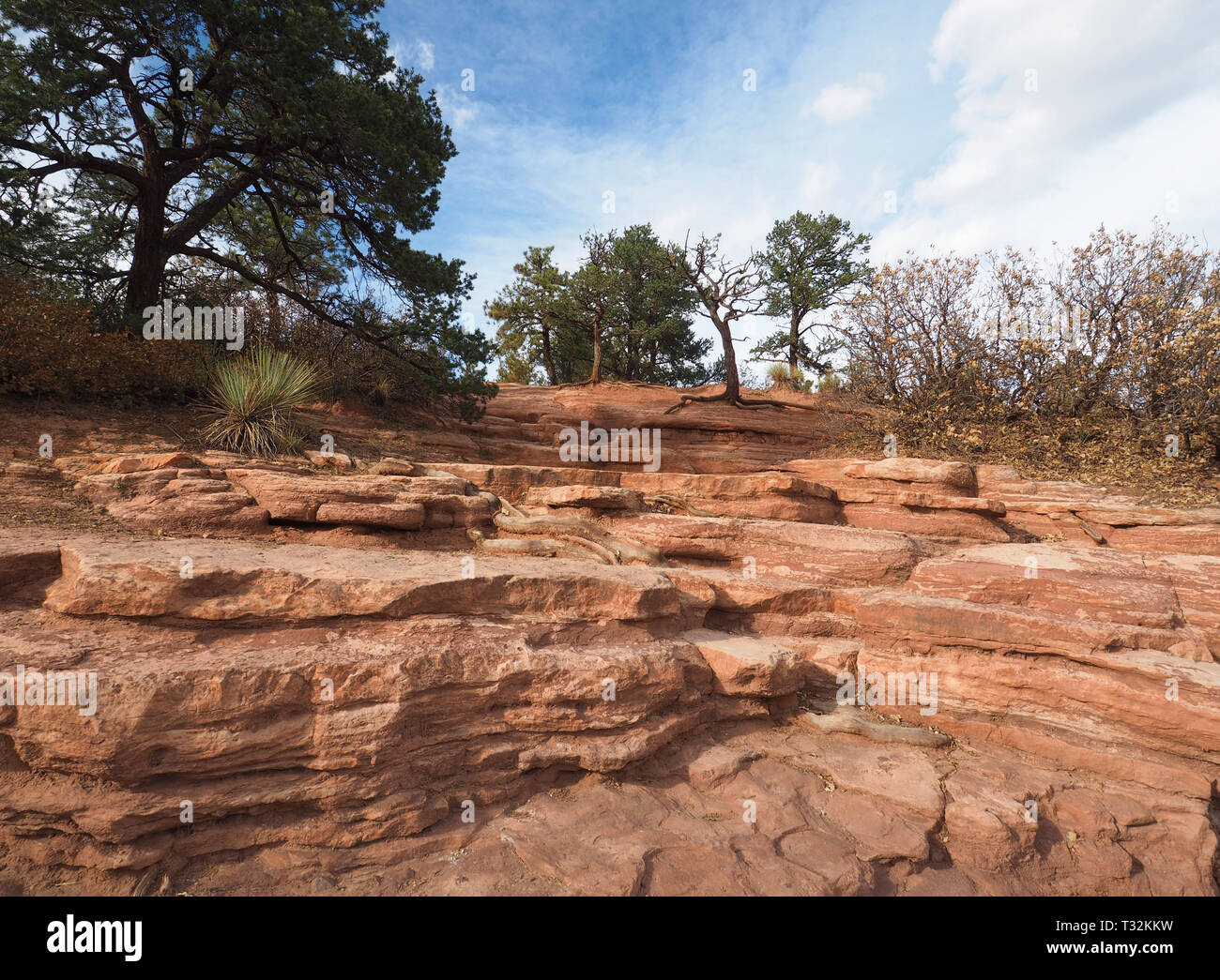 Red formazioni rocciose nel Giardino degli dèi park in Colorado Springs, Colorado. Foto Stock