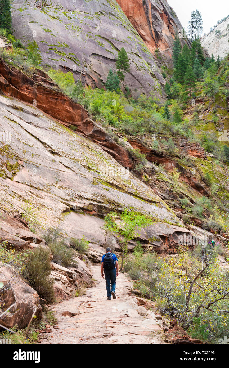 L'uomo escursionismo su Hidden Canyon Trail nel Parco Nazionale di Zion, Utah, Stati Uniti d'America. Foto Stock