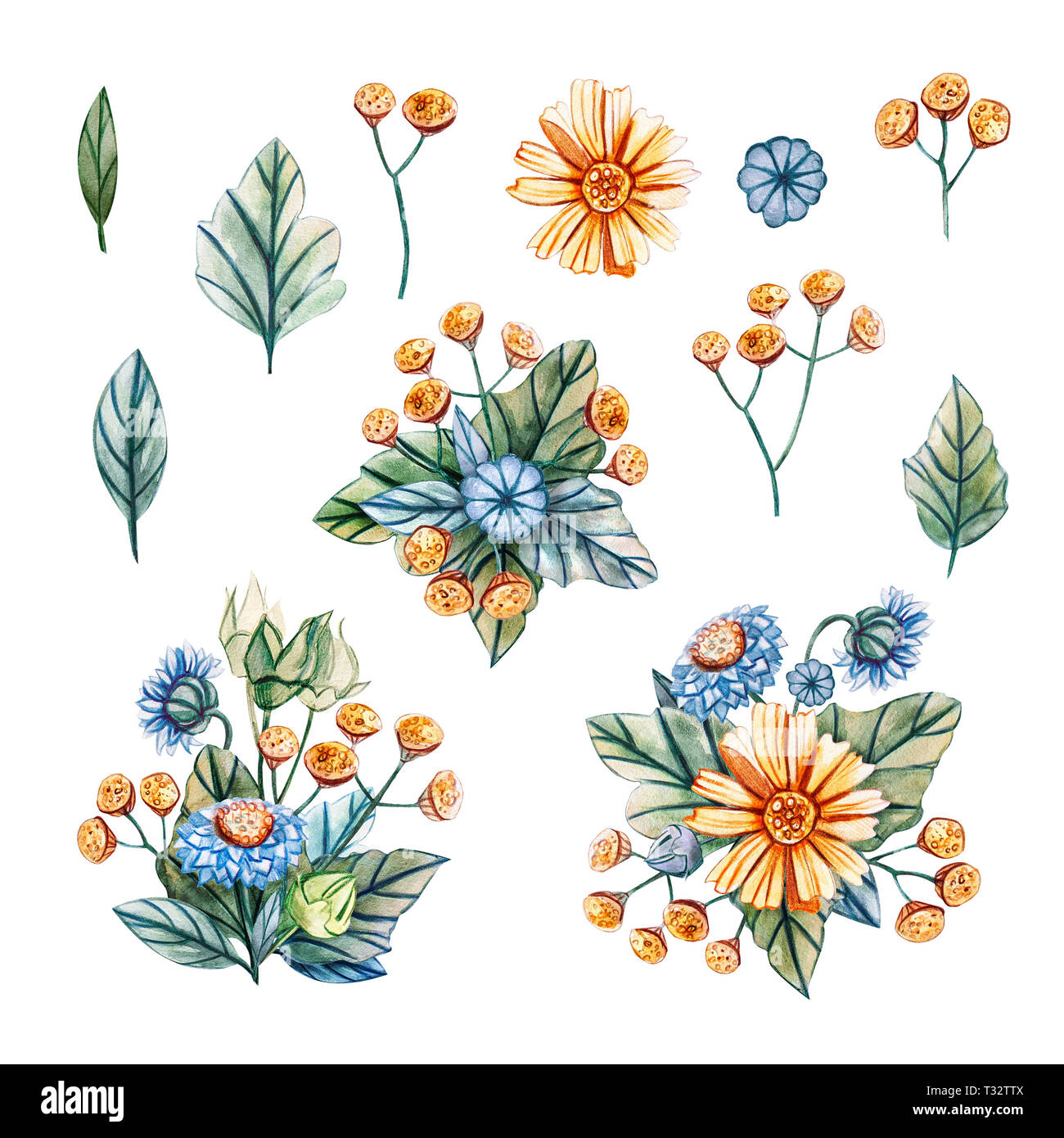 Le illustrazioni ad acquerello con mazzi di fiori selvatici per un matrimonio. Scheda floreali con foglie di colore verde, giallo camomilla, tansy giallo e blu camomilla. Foto Stock