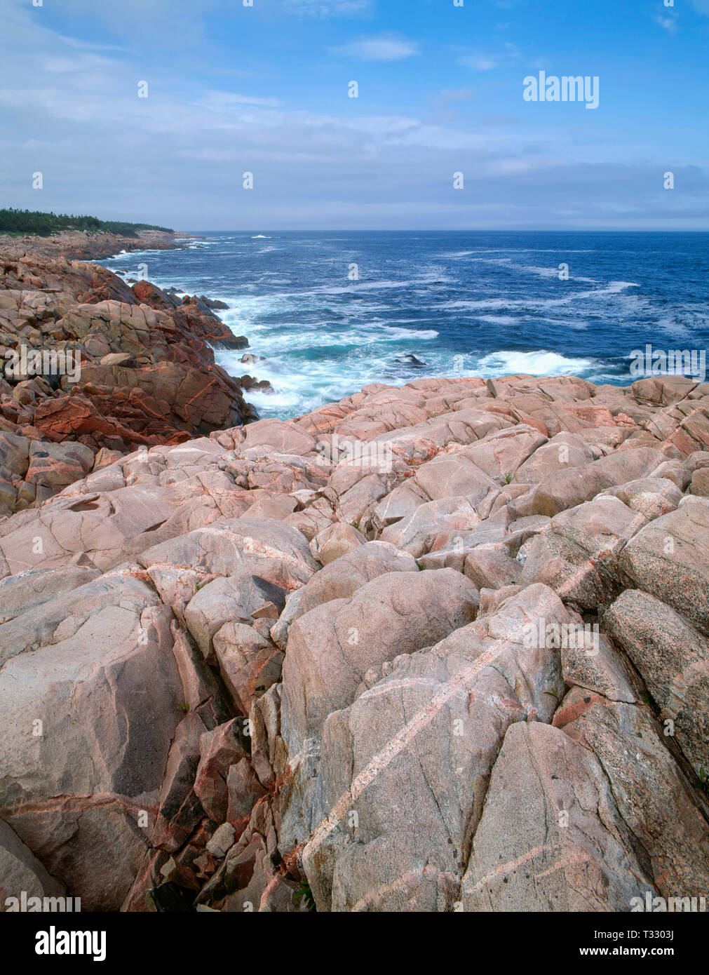 Canada, Nova Scotia, Cape Breton Highlands National Park, intrusioni ignee nel roccioso, coste di granito formare strisce a McKinnons Cove. Foto Stock