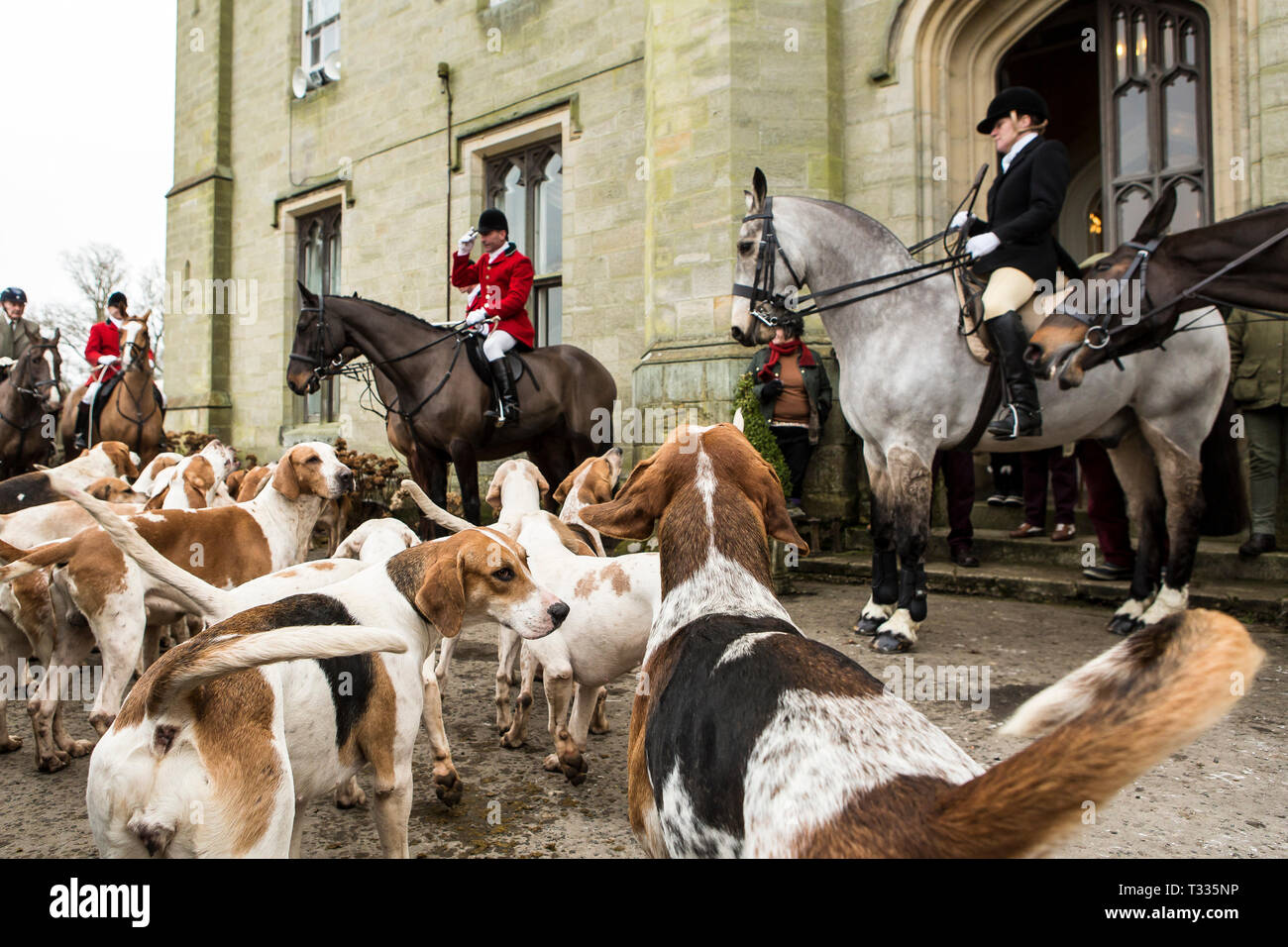 Cacciatori a cavallo del vecchio Surrey Burstow e West Kent Hunt si riuniranno presso Chiddingstone Castle per la boxe tradizionale giorno incontrano nel Kent, Regno Unito Foto Stock