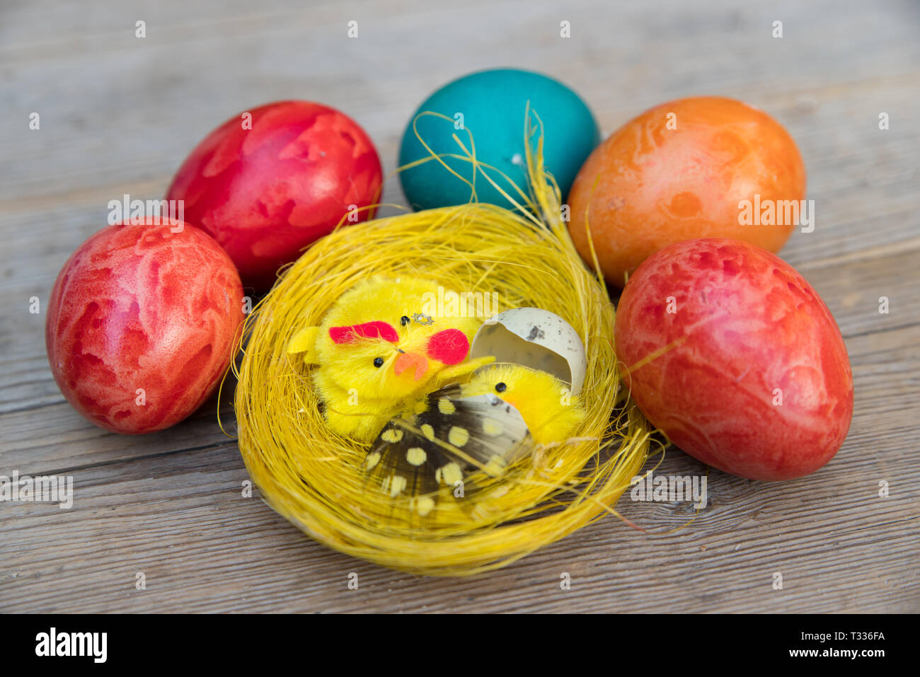 Pasqua Uovo di colore Foto Stock