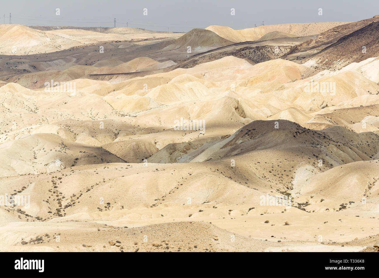 Il paesaggio del deserto del cratere Ramon (Makhtesh Ramon), il più grande del mondo, nella riserva naturale, Mitzpe Ramon, deserto del Negev, Israele Foto Stock