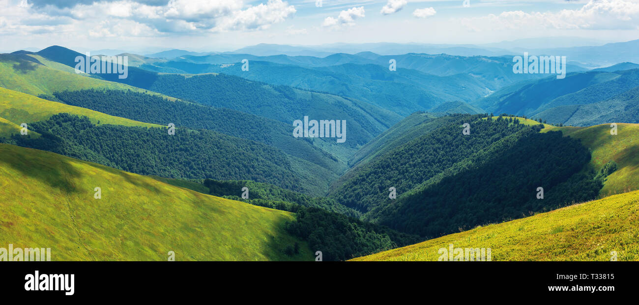 Panorama di dolci colline della cresta in estate. vallata sottostante. erbosi pendii alpini. tempo soleggiato Foto Stock
