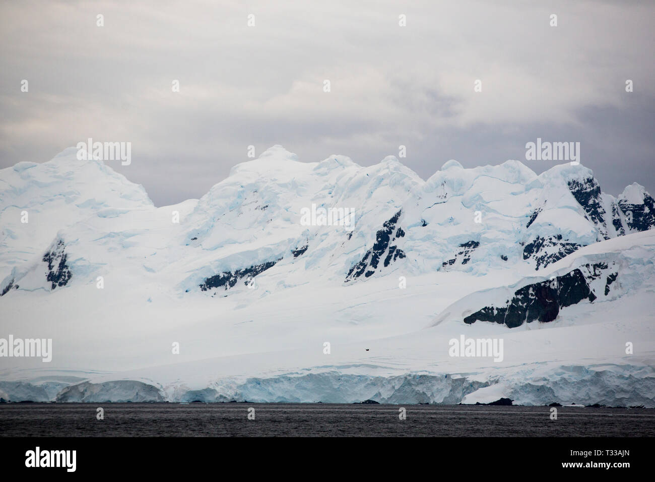 Paesaggio antartico su Anvers Island, Antartico peninsulare. Foto Stock