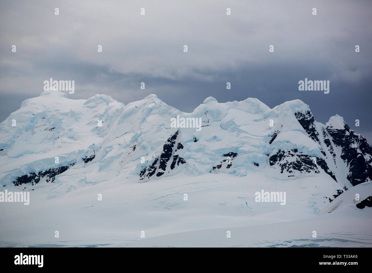 Paesaggio antartico su Anvers Island, Antartico peninsulare. Foto Stock