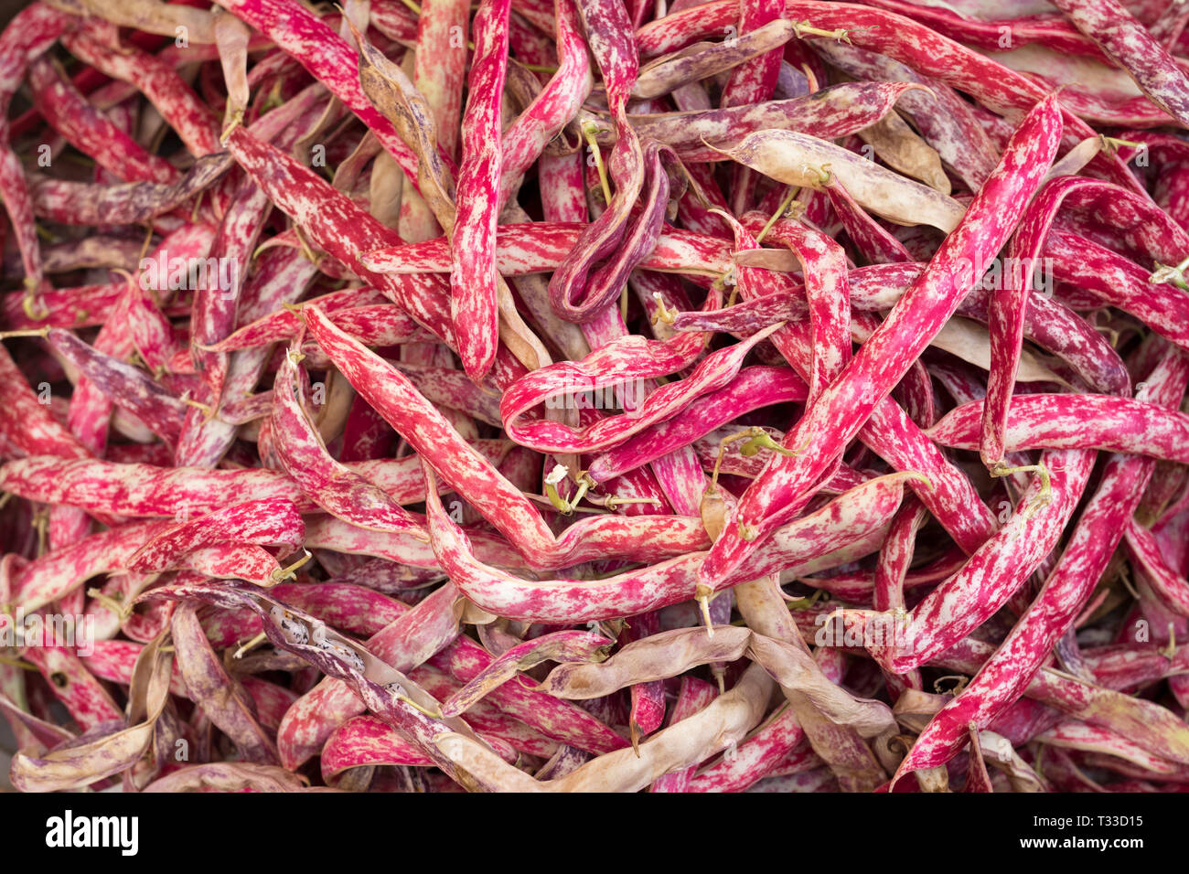 Rosa colore rosso Demi-sec di fagioli secchi al Capo street market per cibi freschi a Palermo, Sicilia, Italia Foto Stock