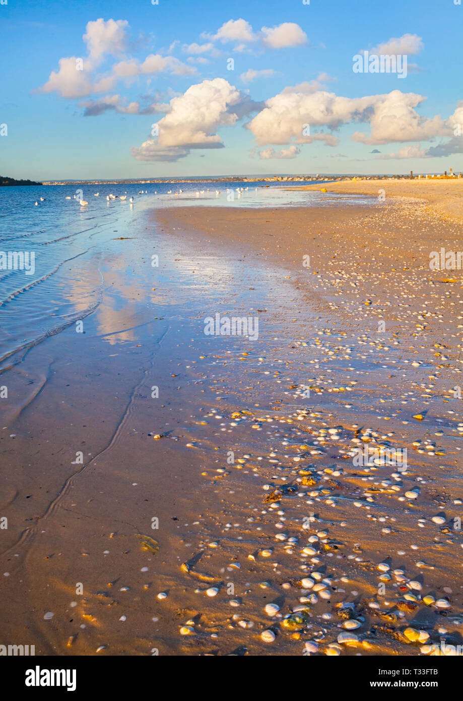 Punto Walter sandbar estendentesi nel fiume Swan in Bicton Foto Stock