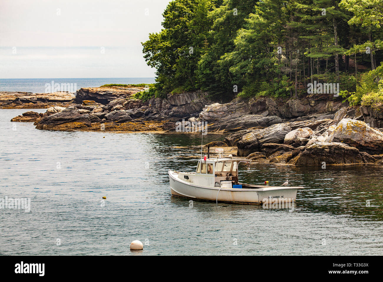 Seascape di una aragosta peschereccio e lone seagull vicino alle alghe coperto costa rocciosa alla Lighthouse Cove nel nuovo porto, Maine, Stati Uniti d'America. Foto Stock