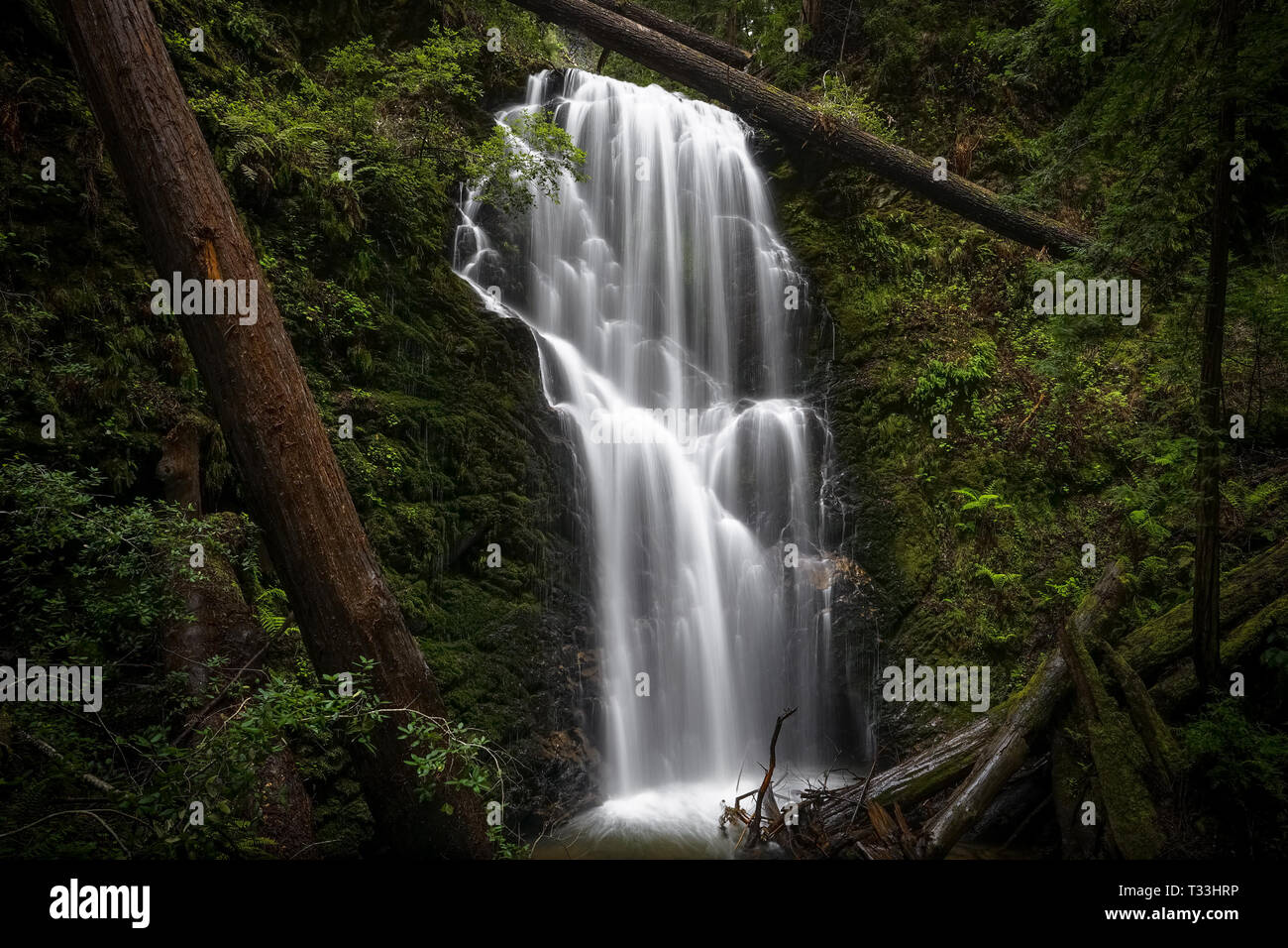 Berry Creek Falls lunga esposizione paesaggio - Big Basin State Park, California Foto Stock