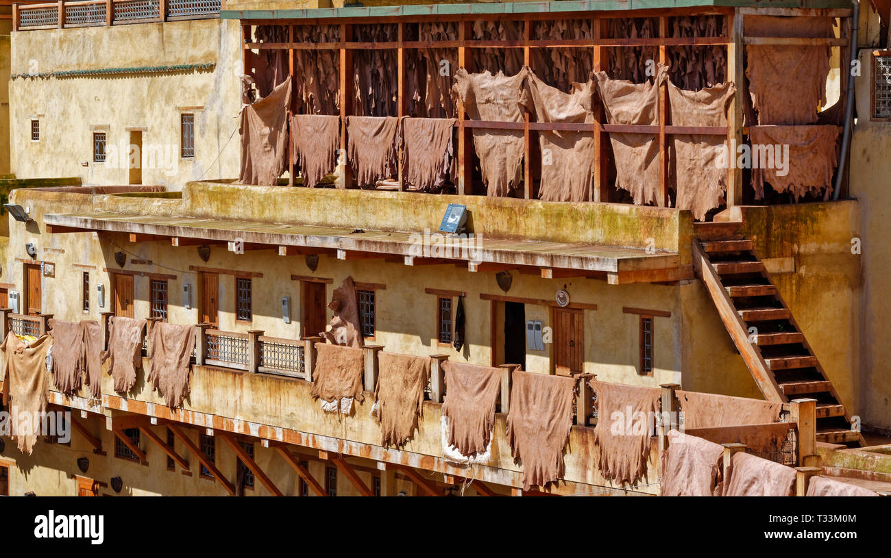 Il Marocco FES MEDINA CHOUARA Cuoio concia di pelli di bovini di essiccazione al sole Foto Stock