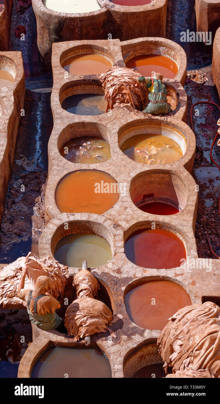 Il Marocco FES MEDINA CHOUARA CONCERIA IN PELLE due lavoratori di pelli di smistamento in vasche colorate Foto Stock