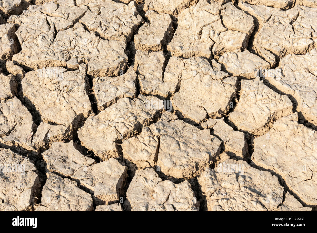 Terra sterile, il terreno asciutto in zone aride background e texture Foto  stock - Alamy