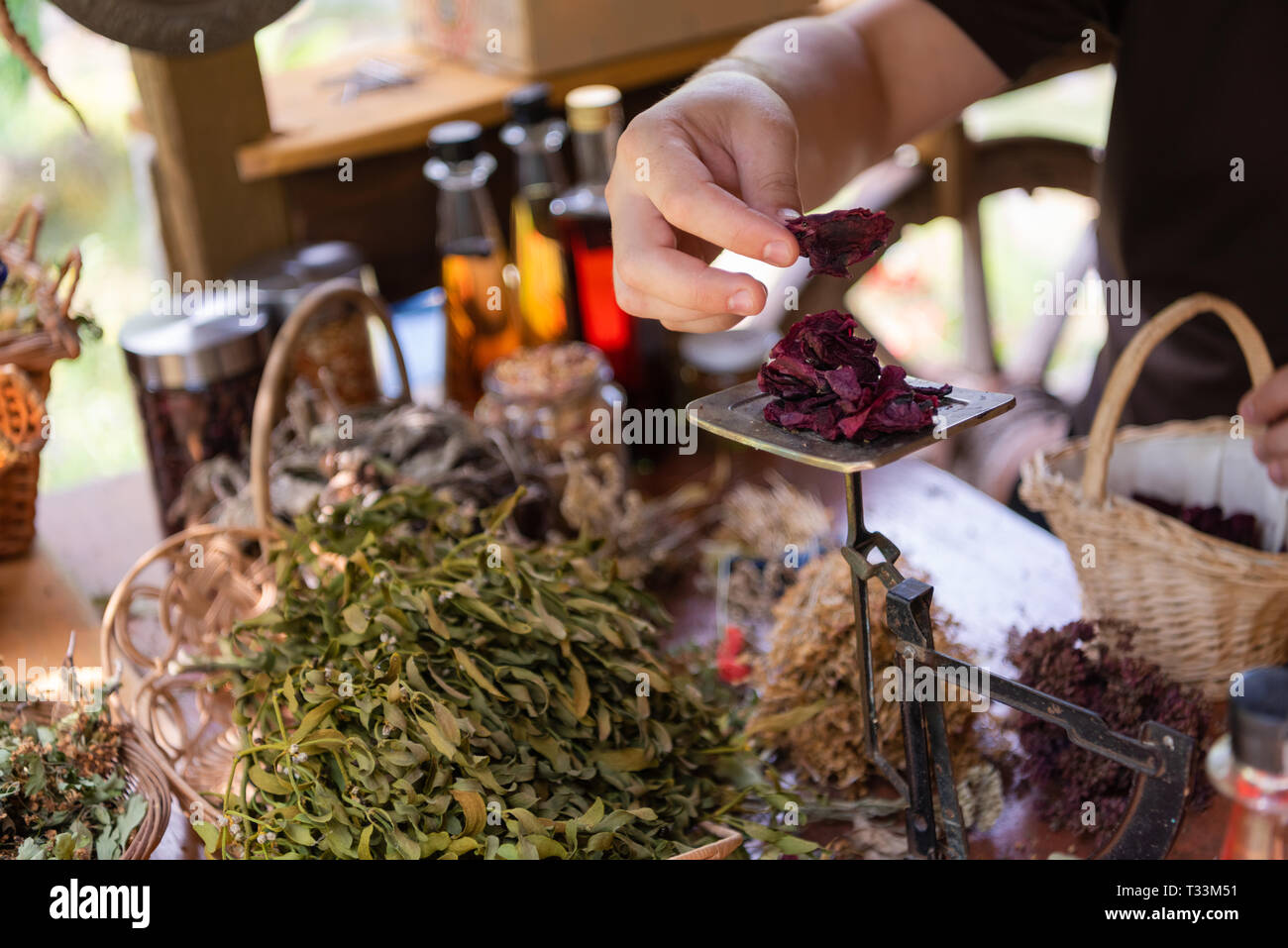 Erboristeria gardender proprietario di piccola impresa la raccolta la  raccolta di erbe aromatiche fresche per la medicina alternativa e tè  poutting sulla bilancia Foto stock - Alamy