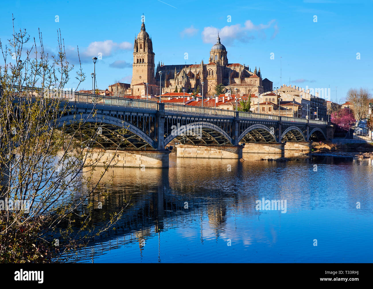 Skyline della nuova Cattedrale (cattedrale Nueva) e il fiume Tormes nella vecchia città di Salamanca Foto Stock