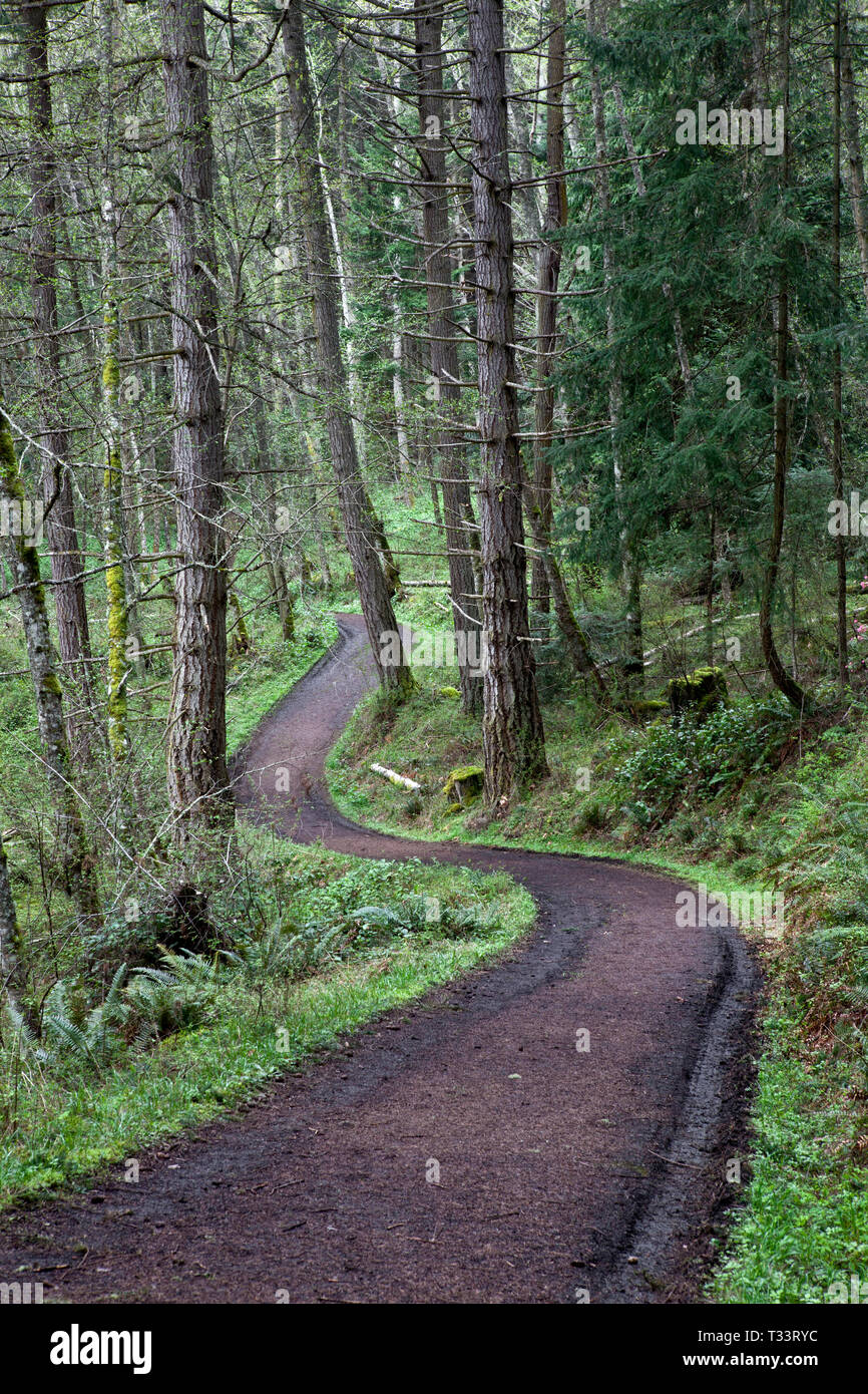 WA06535-00...WASHINGTON - Turtleback sentiero di montagna vicino al Sentiero Sud testa su Orcas Island, Foto Stock