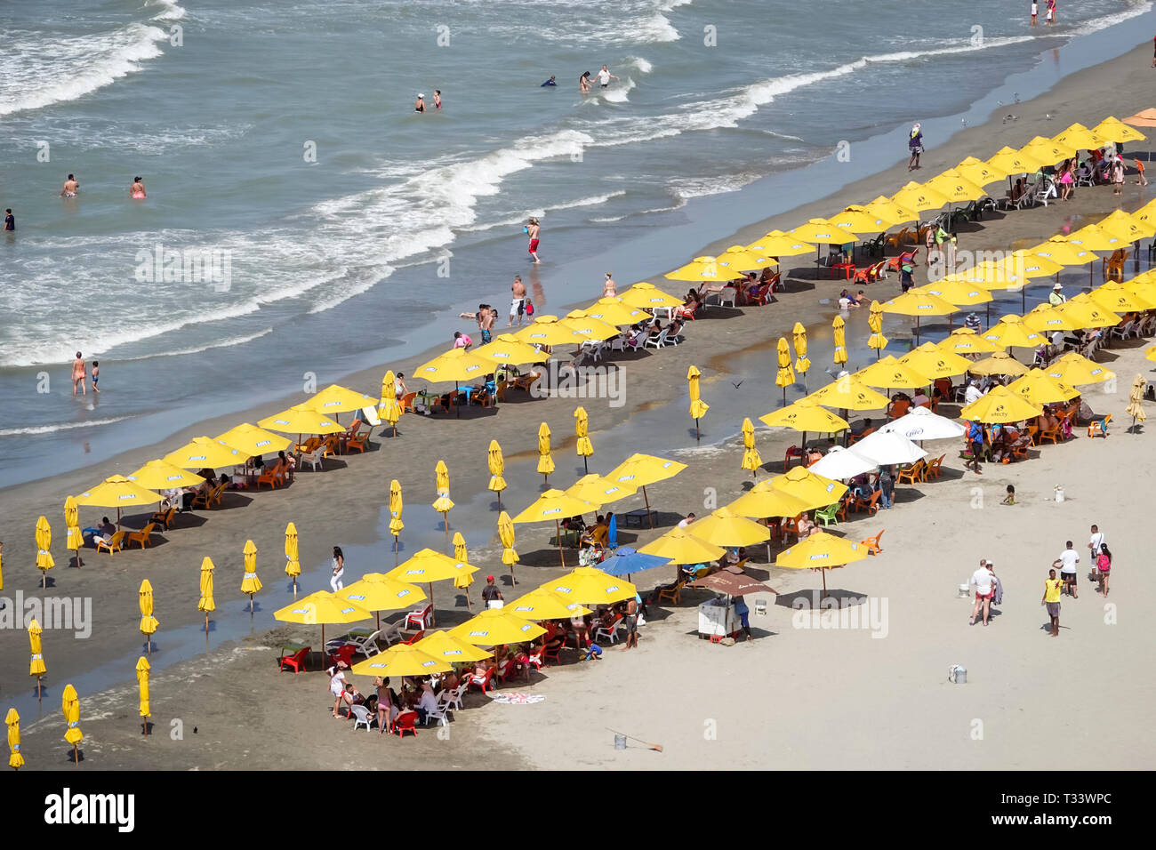 Cartagena Colombia, Bocagrande, Mar dei Caraibi, spiaggia pubblica noleggio ombrelloni, residenti ispanici, solarium, COL190121094 Foto Stock