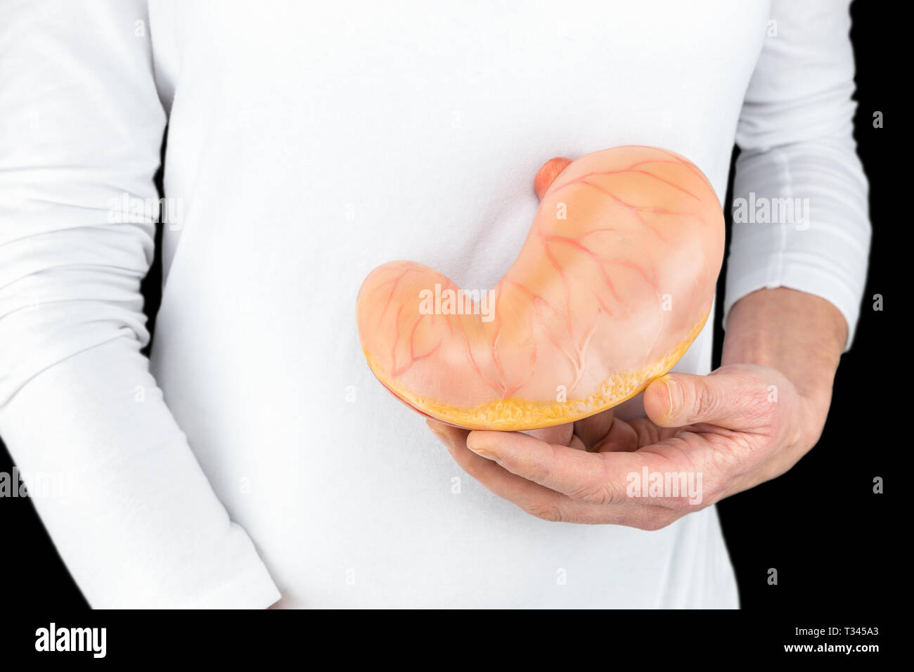 Mano trattiene il modello dimostrativo di stomaco umano al corpo bianco con sfondo nero Foto Stock