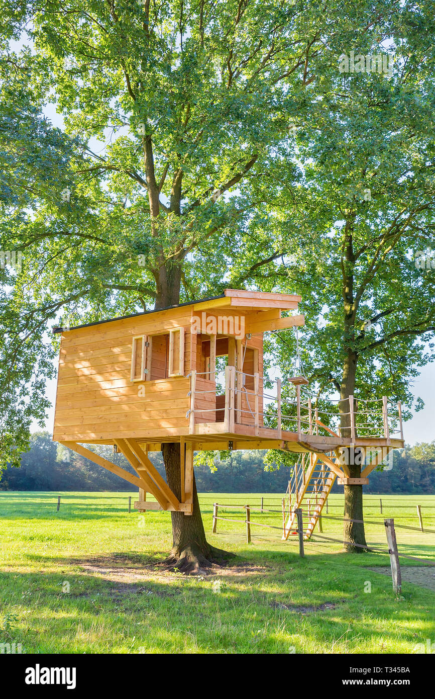 Nuova costruzione olandese struttura in legno capanna in alberi di quercia con prato Foto Stock