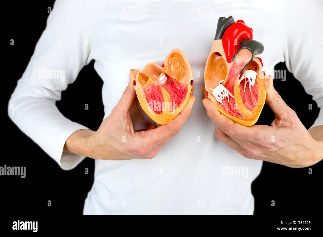 Donna che mantiene aperto il cuore umano modello a corpo bianco Foto Stock