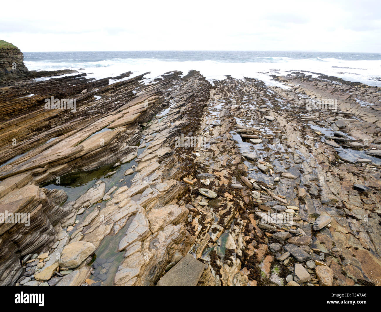 Stromness superiore formazione in lastricato, a nord ovest di Orkney continentale, Scotland, Regno Unito Foto Stock