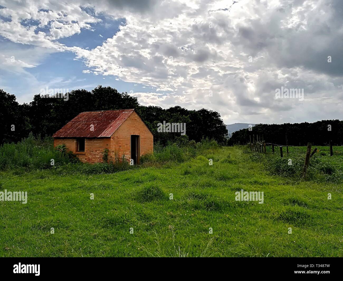 Girato in impostazioni rurale di Richmond, Kwazulu Natal, Sud Africa, un solitario abbandonato farm house in piedi in mezzo a una foresta. Foto Stock