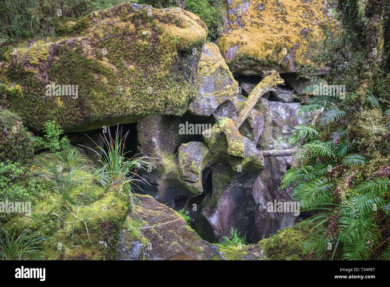 Erosi fancy formazioni rocciose al baratro la visualizzazione di Ponte a Milford Sound, Nuova Zelanda Foto Stock