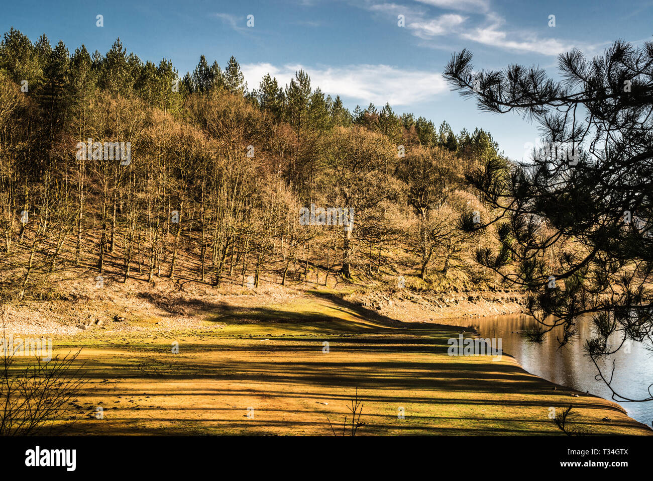 Siccità in Inghilterra Derbyshire, Ray Boswell Foto Stock