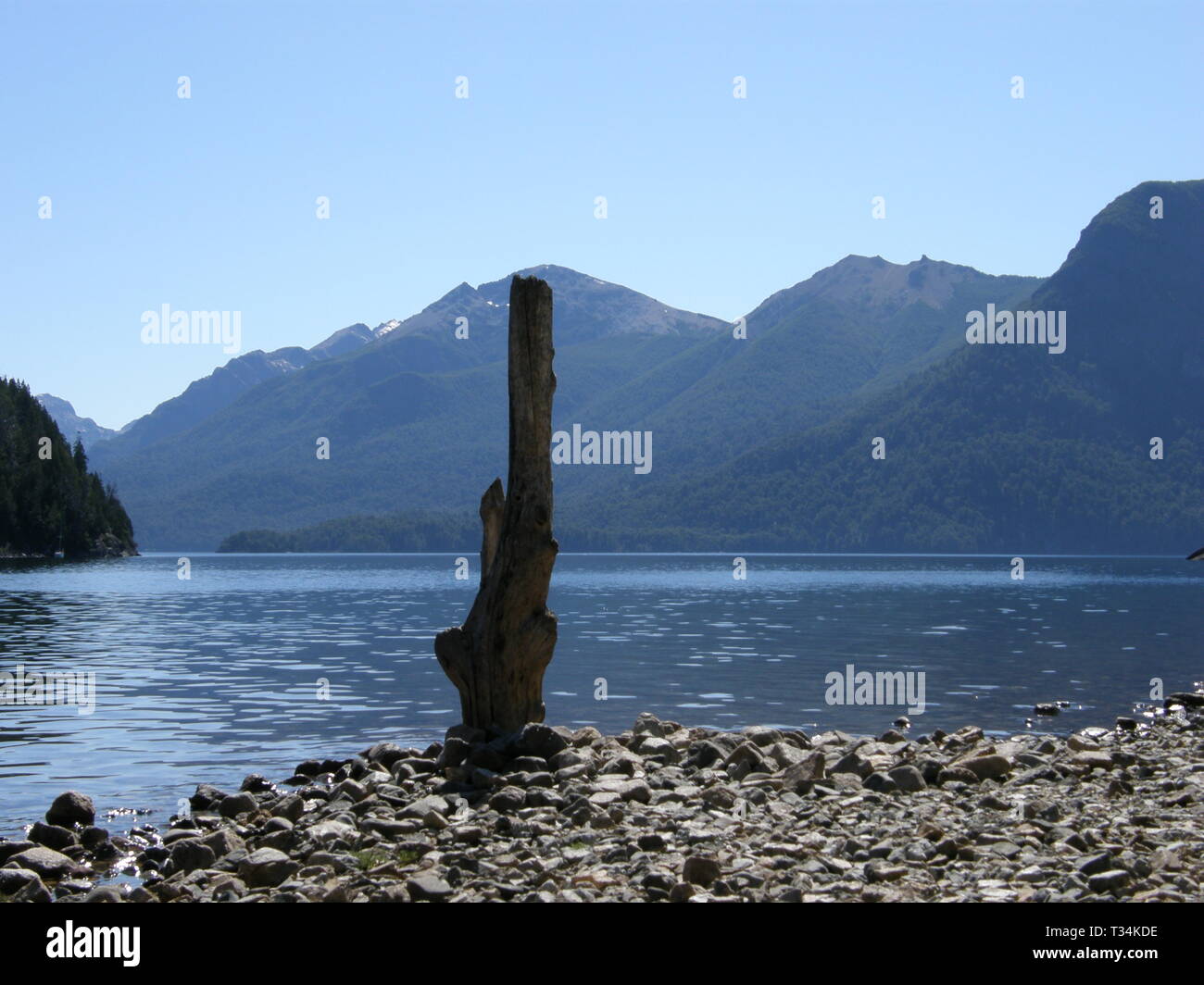 Spiaggia a riva al Lago Nahuel Huapi, Bariloche, Argentina a secco con tronco di albero Foto Stock