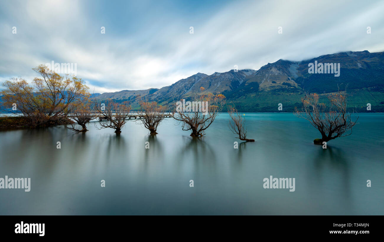 Gli alberi di salice di Glenorchy, sul lago Wakatipu, Regione di Otago, Isola del Sud, Nuova Zelanda Foto Stock
