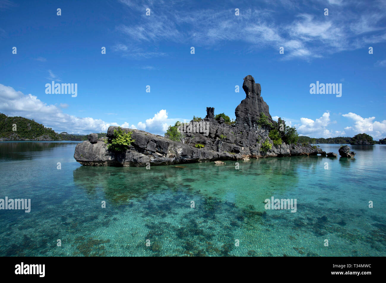 Isola rocciosa in oceano, Raja Ampat Papua, Papua occidentale, in Indonesia Foto Stock