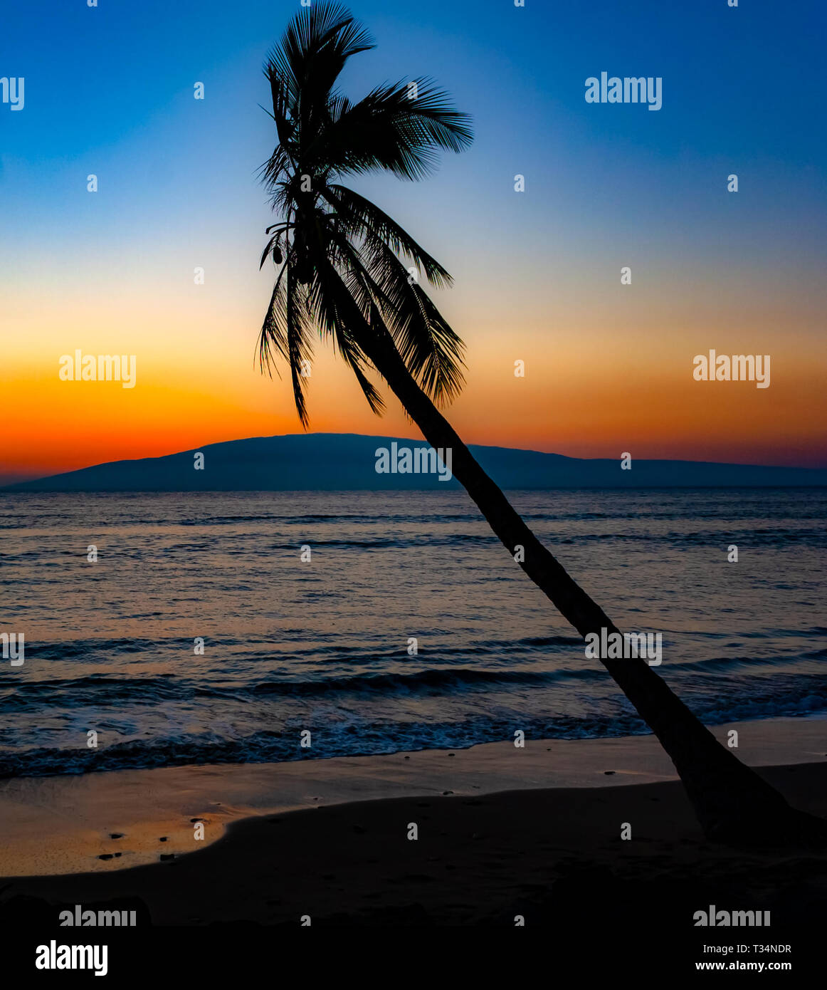 Silhouette di un albero di palme sulla spiaggia al tramonto, Maui, Hawaii, Stati Uniti Foto Stock