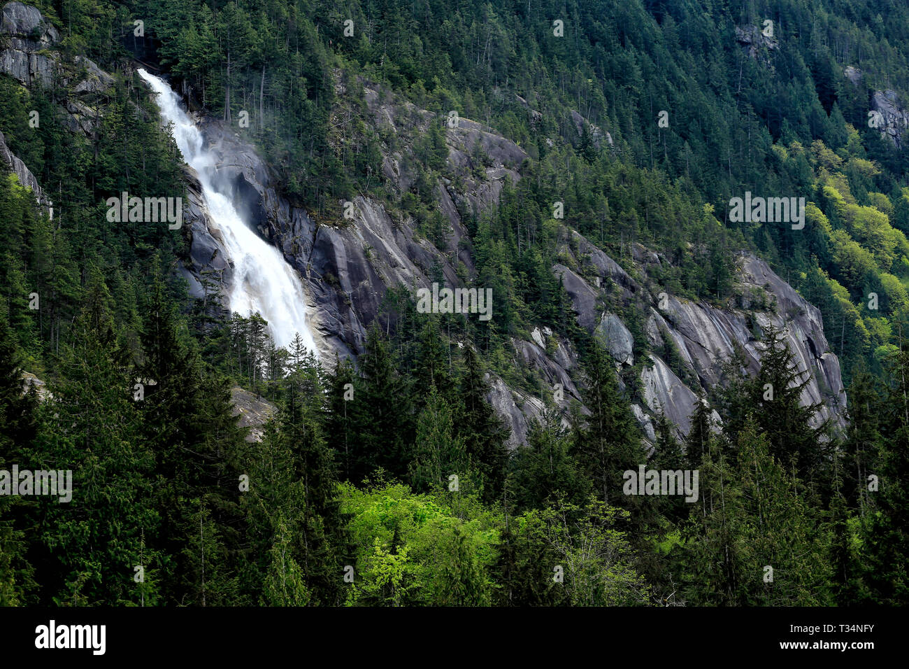 Cascata, Squamish, British Columbia, Canada Foto Stock