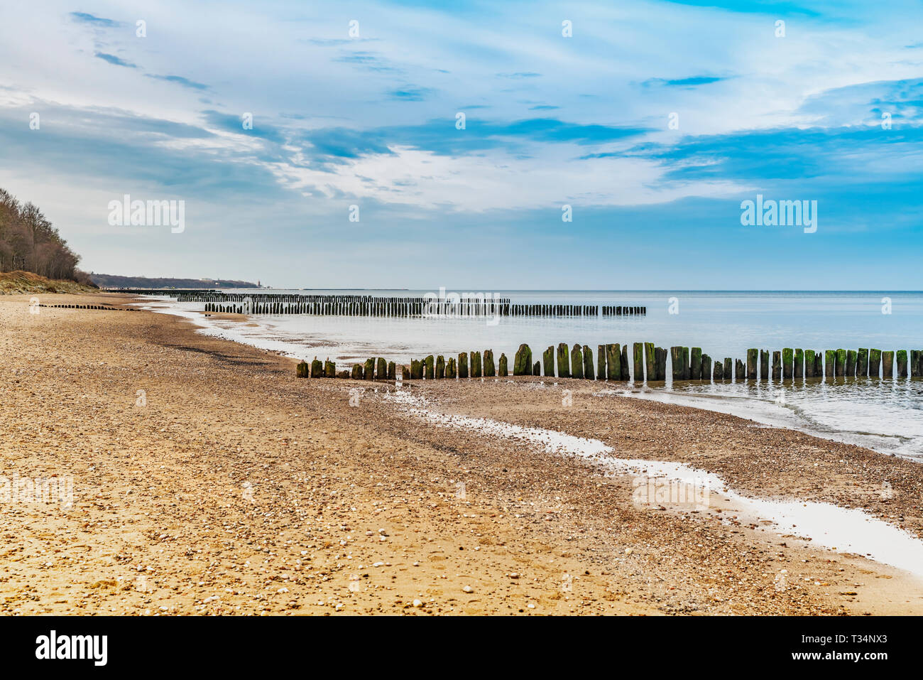 Vecchi pennelli sulla spiaggia del Mar Baltico nei pressi di Kolobrzeg, West Pomerania, Polonia, Europa Foto Stock