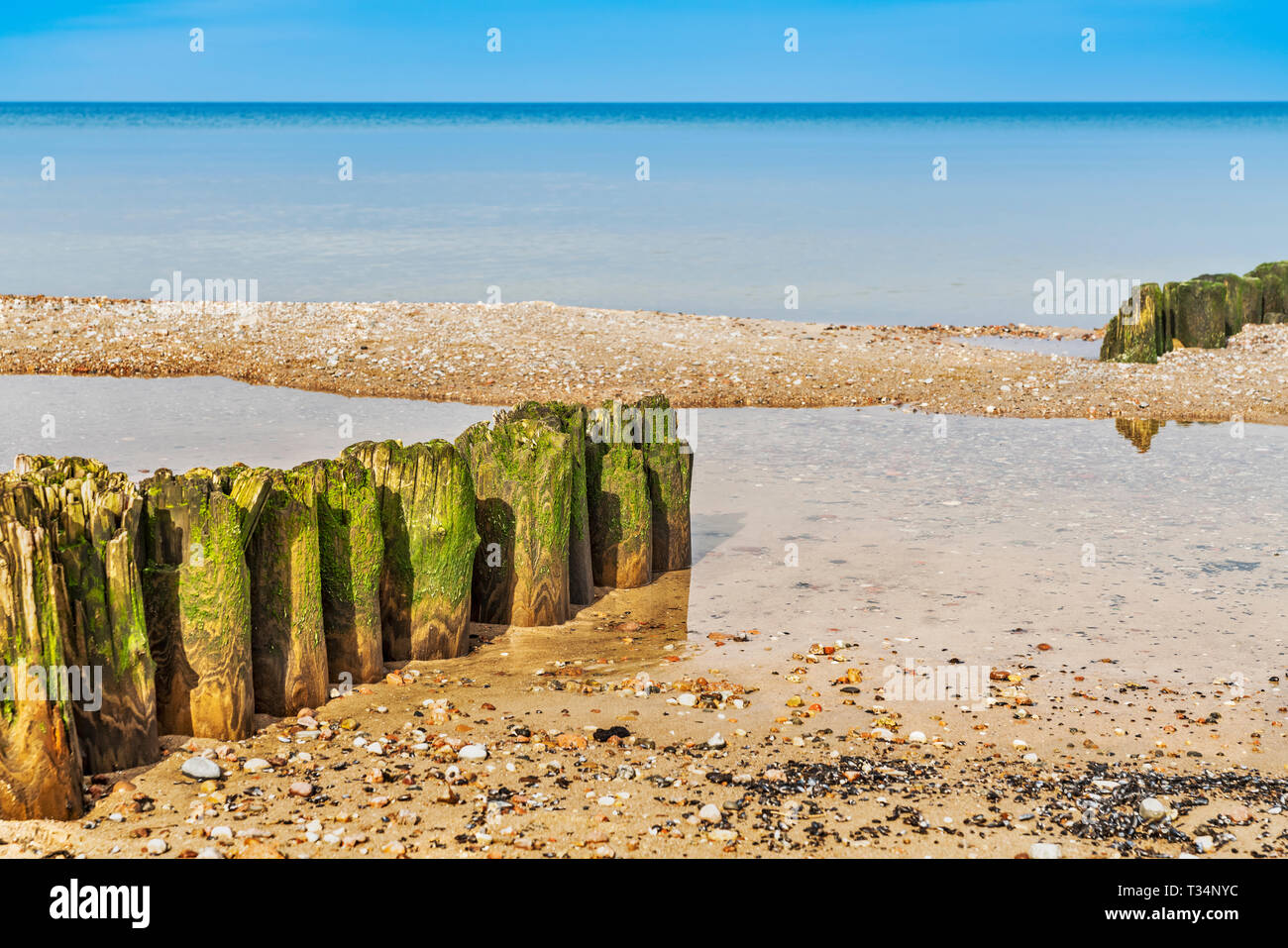 Vecchi pennelli sulla spiaggia del Mar Baltico nei pressi di Kolobrzeg, West Pomerania, Polonia, Europa Foto Stock