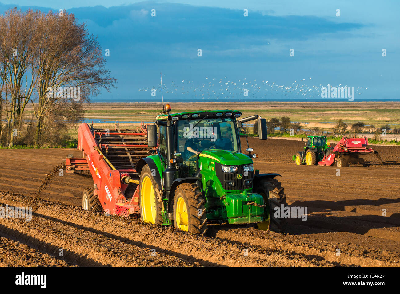 I trattori di effettuare profonde sagomatura letto seguita da semina i campi Inizio tempo di molle a Burnham Overy in North Norfolk, East Anglia, England, Regno Unito Foto Stock