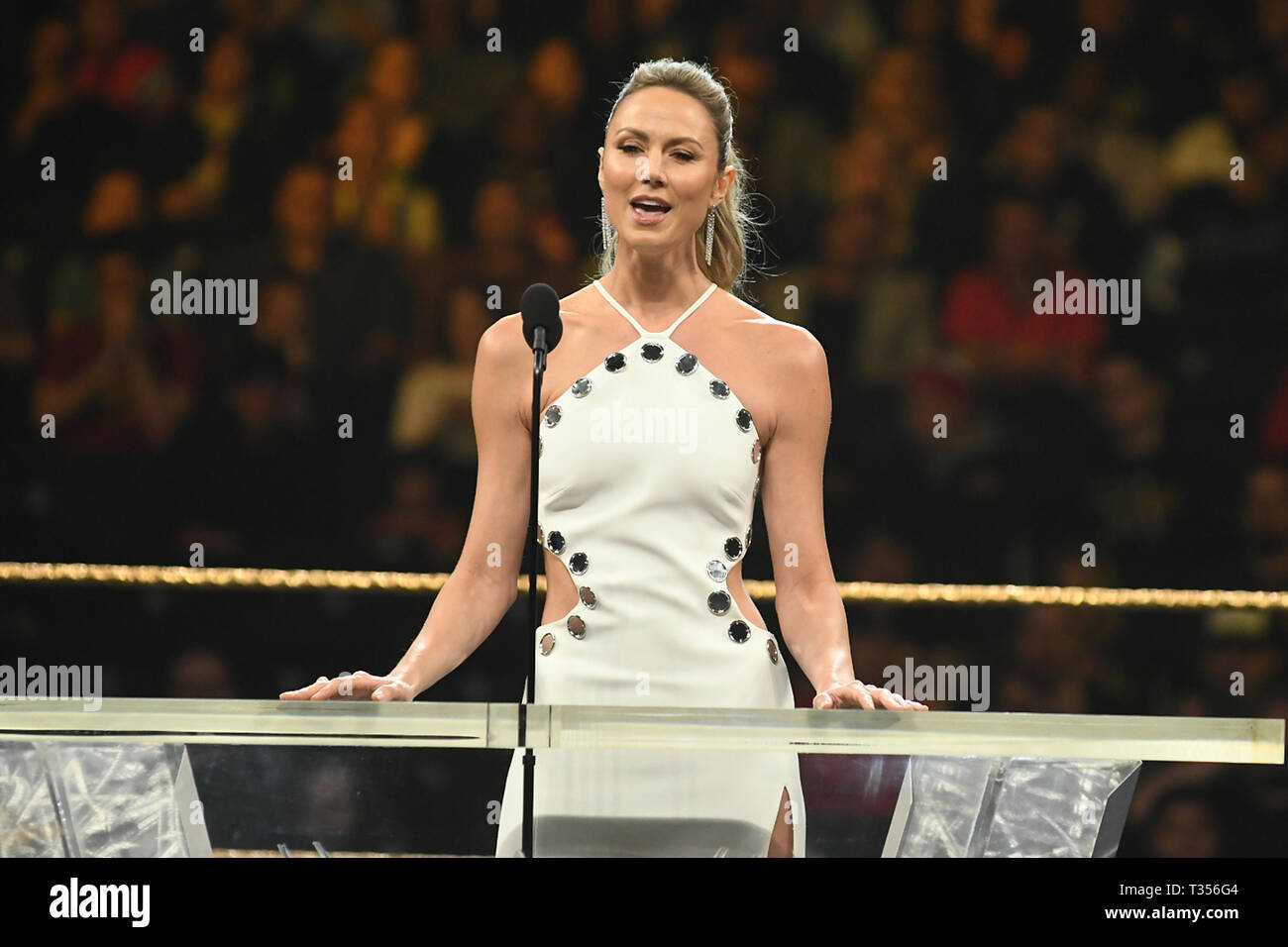 New York, Stati Uniti d'America. 6 apr, 2019. Stacy Keibler al 2019 WWE Hall Of Fame cerimonia al Barclay il centro di Brooklyn, a New York City il 6 aprile 2019. Credito: Giorgio Napolitano/media/punzone Alamy Live News Foto Stock