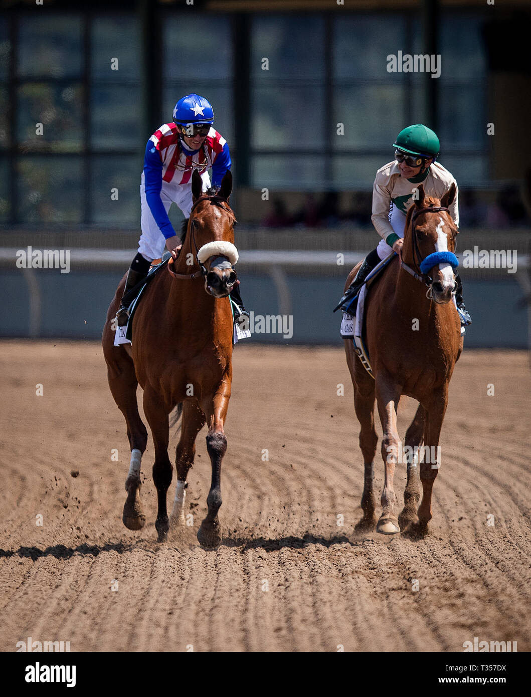 Arcadia, CA, Stati Uniti d'America. 7 apr, 2019. Aprile 06, 2019: Flavien Prat a bordo Bellafina scherzi con Mike Smith a bordo a caccia di ieri dopo la Santa Anita querce a Santa Anita Park in aprile 06, 2019 in Arcadia, California. Evers/Eclipse Sportswire/CSM/Alamy Live News Foto Stock