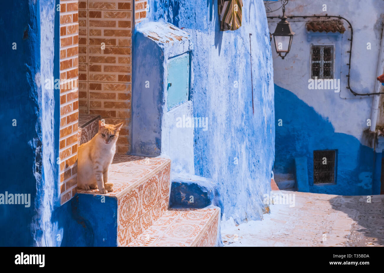 Vista incredibile della strada nella città blu di Chefchaouen. Posizione: Chefchaouen, Marocco, Africa. Foto artistiche. Bellezza Mondo Foto Stock