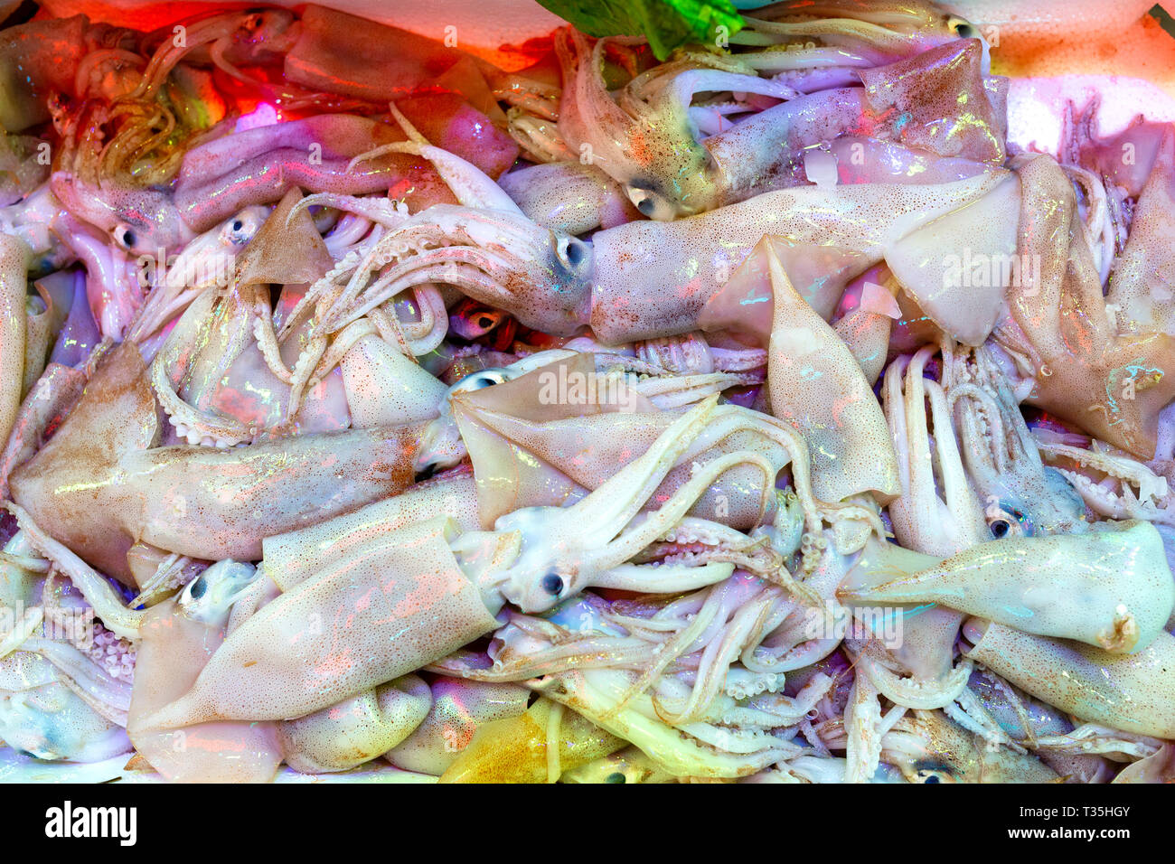 Primo piano vista strutturata di calamari sul mercato. Tubi di calamari sono noti con il popolare nome italiano calamari. Foto Stock