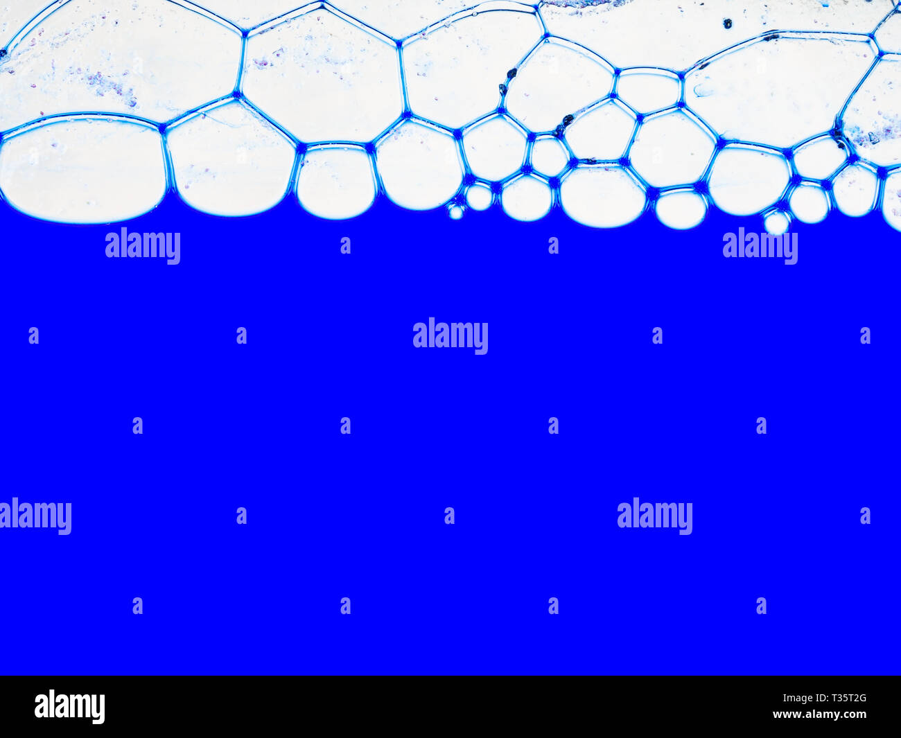 Sfondo blu con bolle sulla parte superiore. Pulire sfondo blu con un sacco di spazio copia. Foto Stock