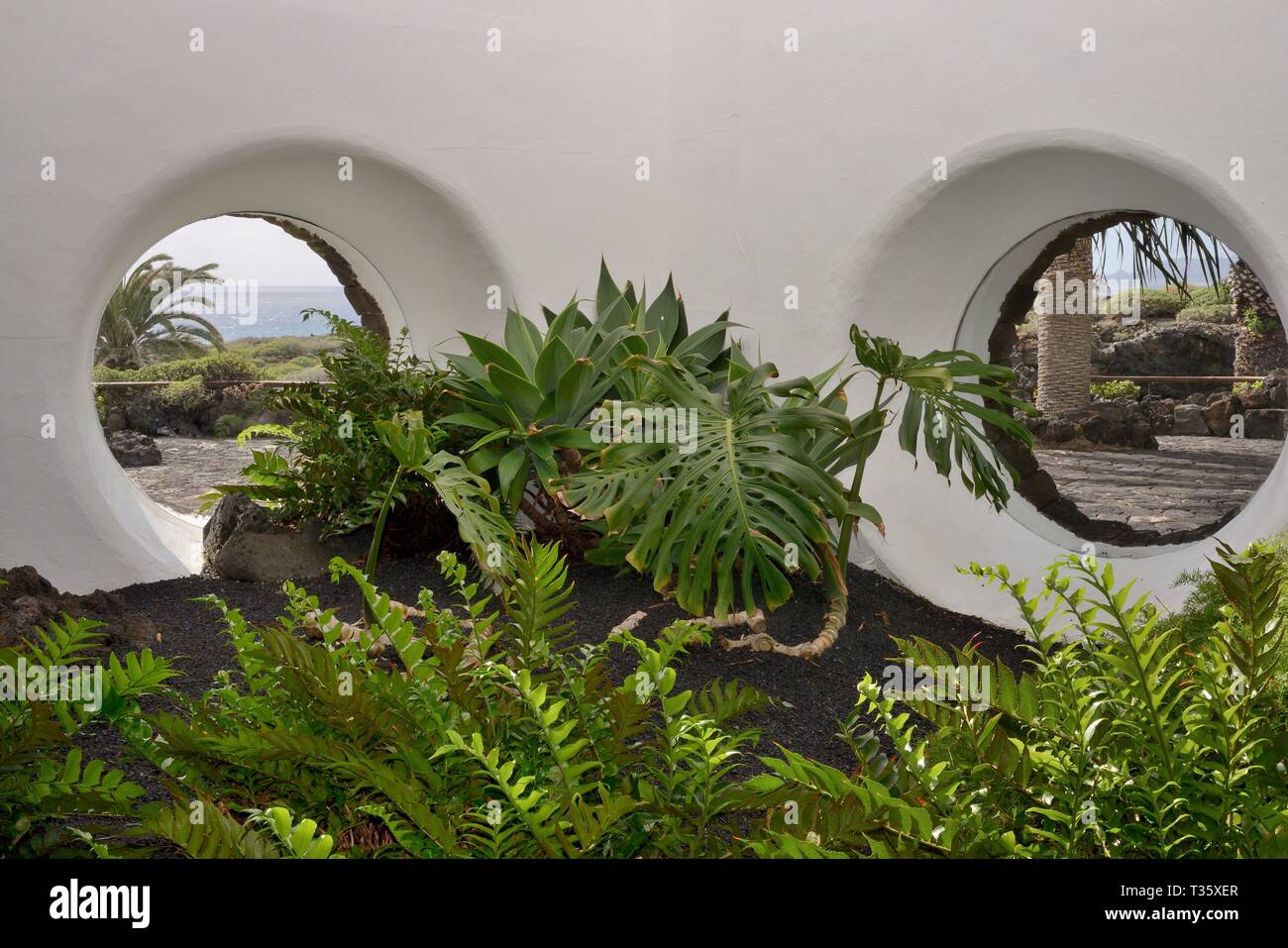 Piante da interni a Jameos del Agua, un attrazione turistica entro un tubo di lava disegnato da Cesar Manrique, con oblò rotondo windows, Lanzarote. Foto Stock