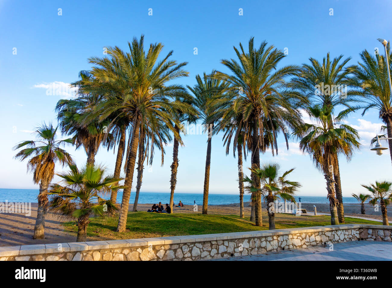 Malaga spiaggia con palme di Playa de La Carihuela, Torremolinos Costa del Sol Occidental, Malaga, Andalusia, Spagna Sole Foto Stock