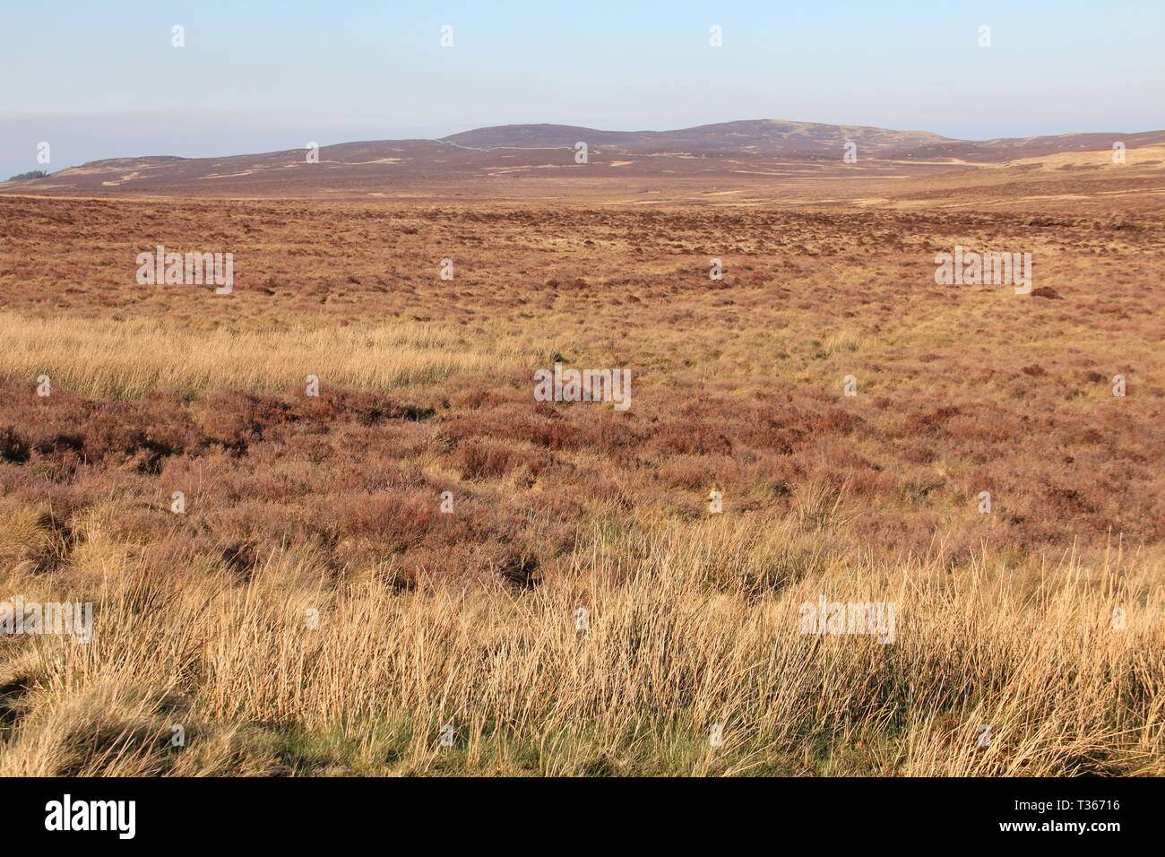 La crociera attraverso il Galles del Nord Foto Stock