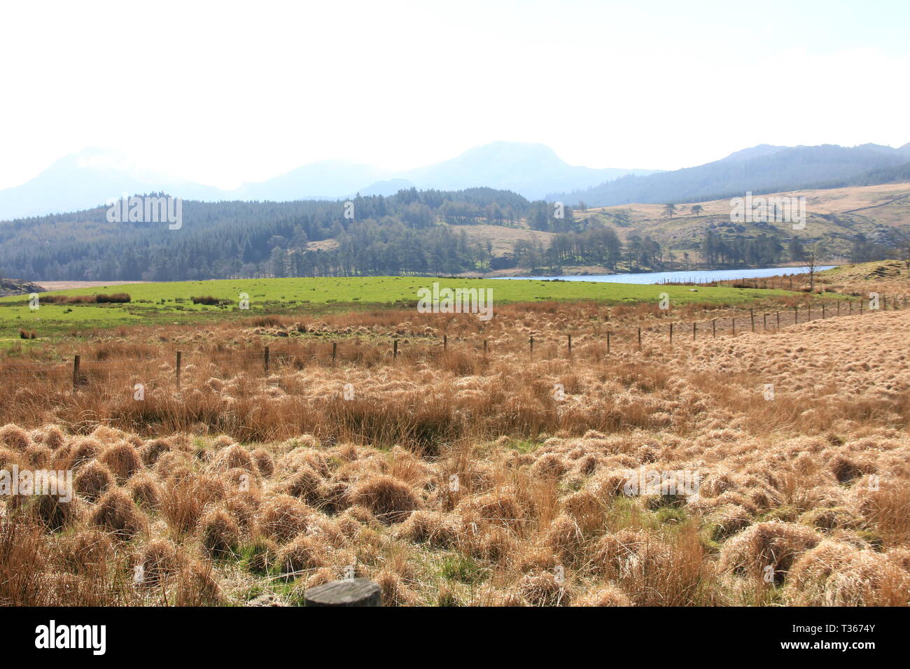 La crociera attraverso il Galles del Nord Foto Stock