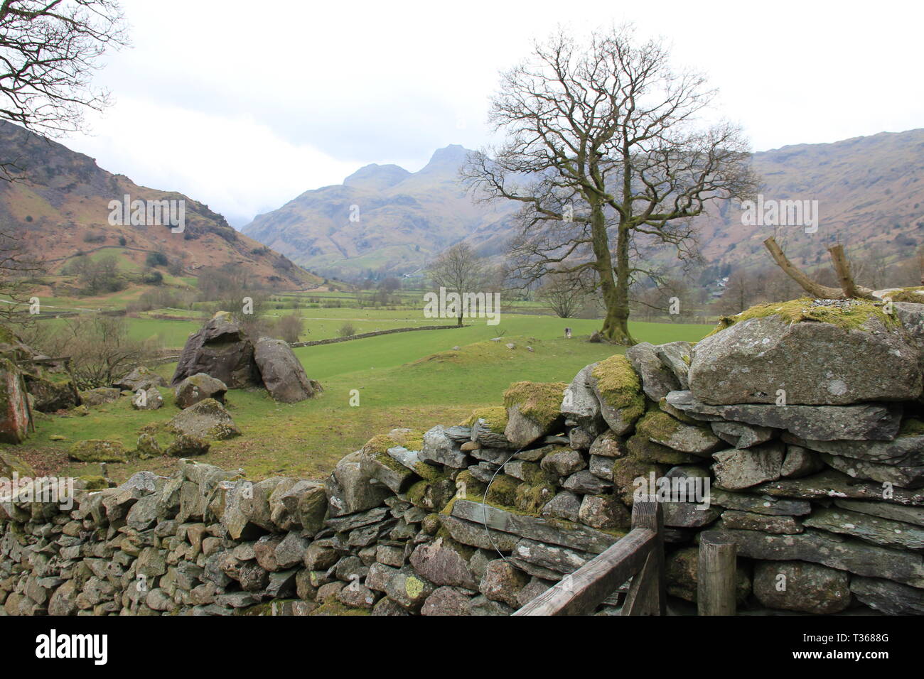 Derwent Water, Lake District Foto Stock