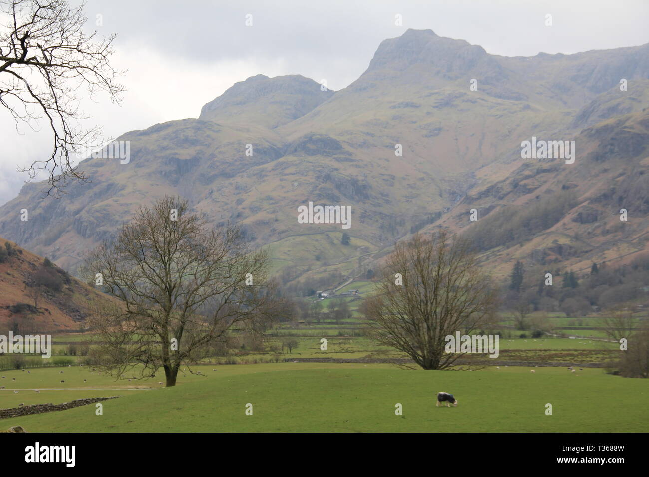 Derwent Water, Lake District Foto Stock