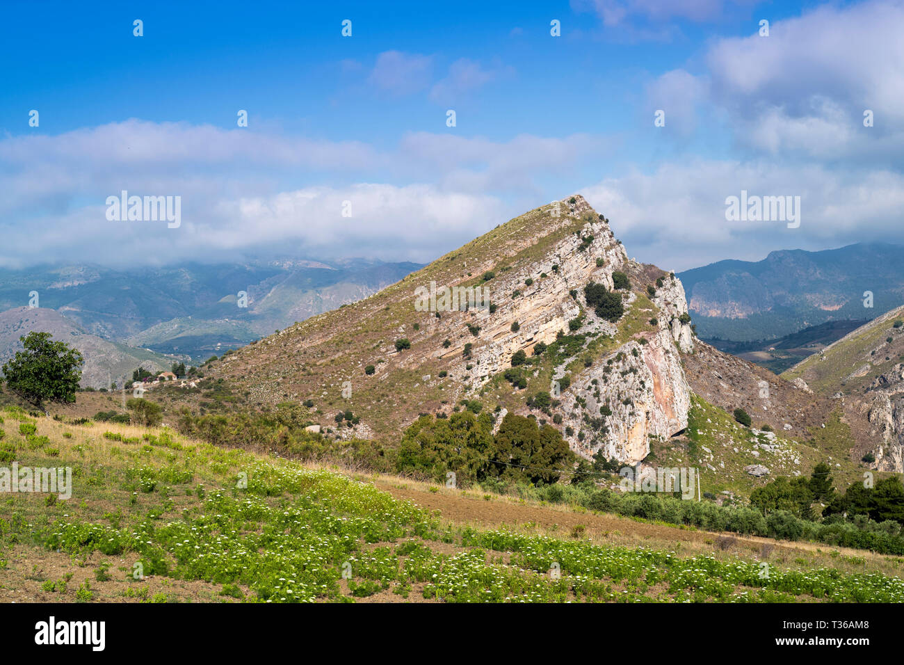 Crosta terrestre terra spostata dal terremoto onde sismiche e mostra gli strati di roccia nei pressi di Caccamo nel nord della Sicilia, Italia Foto Stock