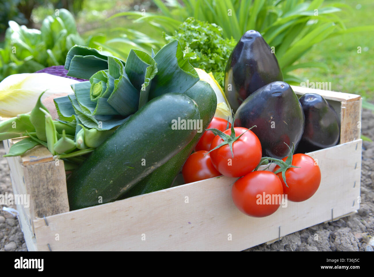 Chiudere su carni e verdure colorate in una cassa messo a terra in un giardino Foto Stock